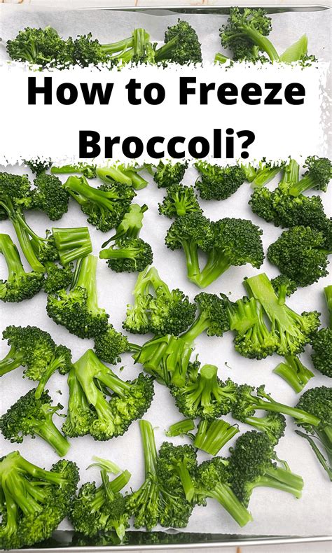 Can you freeze broccoli. Things To Know About Can you freeze broccoli. 